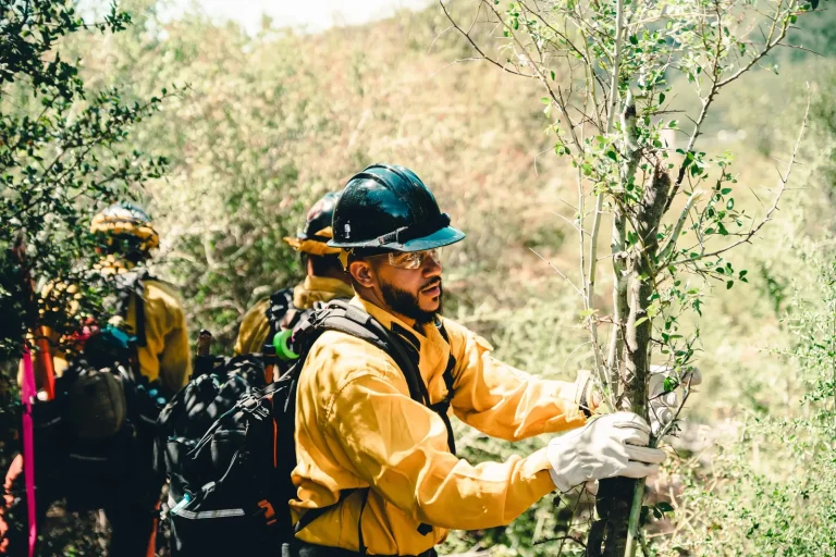 Isaac Bryan in yellow brush gear and heavy gloves pulling a sapling clear on a steep hillside, other crew members working the line behind him.