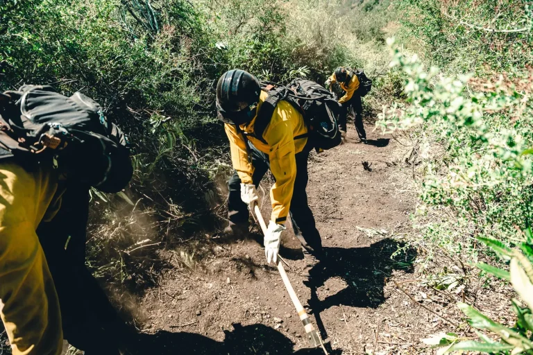 A wildland fire crew in yellow brush gear cutting a firebreak with hand tools along a dirt hillside trail, dust rising from the dry soil.