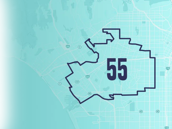 California Assembly district map